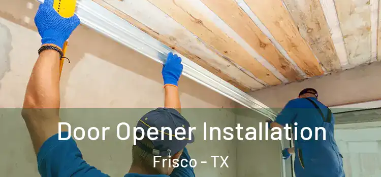  Door Opener Installation Frisco - TX
