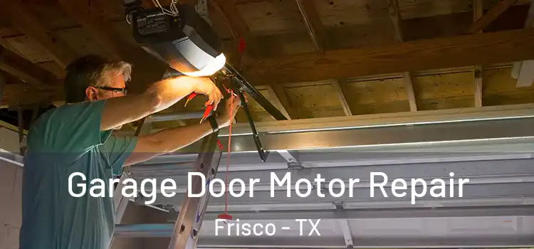  Garage Door Motor Repair Frisco - TX