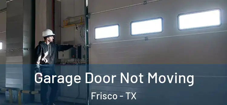  Garage Door Not Moving Frisco - TX