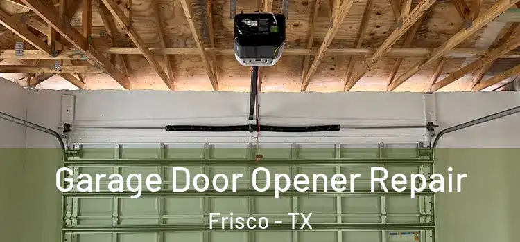  Garage Door Opener Repair Frisco - TX