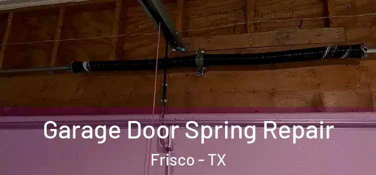  Garage Door Spring Repair Frisco - TX
