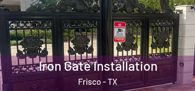  Iron Gate Installation Frisco - TX