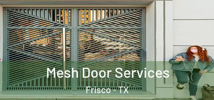  Mesh Door Services Frisco - TX